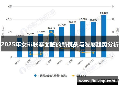 2025年女排联赛面临的新挑战与发展趋势分析