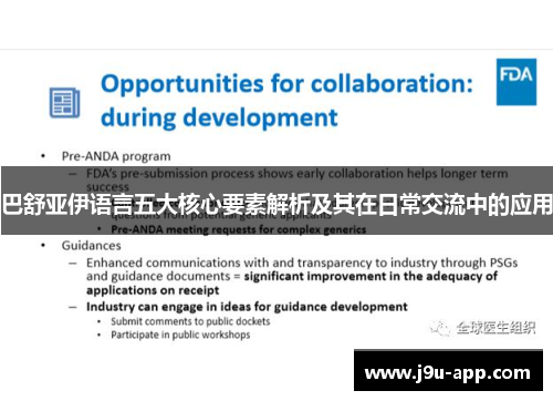 巴舒亚伊语言五大核心要素解析及其在日常交流中的应用